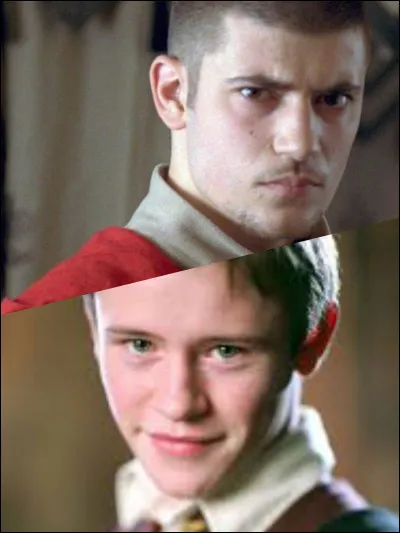 Préfères-tu Seamus Finnigan ou Victor Krum ?