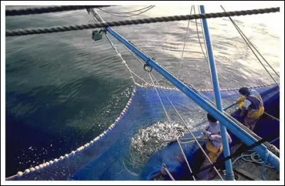 Des mots croisés particulièrement durs, c'est la...