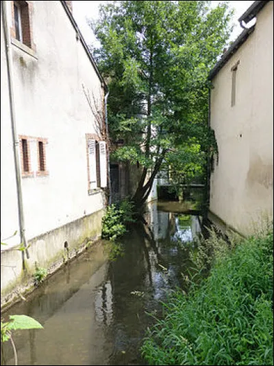 Fait preuve d'une grande sensibilité, c'est le...