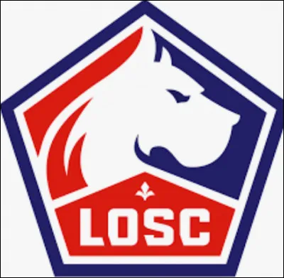 Quelle ville le club de LOSC représente-t-il ?
