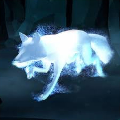 Comment fait-on apparaître un patronus ?