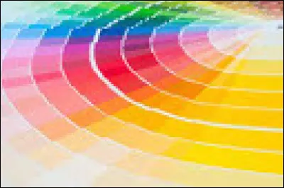 Ta couleur préférée est :