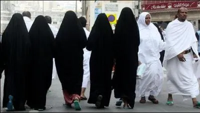 Remake du film 'Le grand bluff' par Michle Alliot-Marie dans le Parisien cette semaine. Qu'a-t-elle soutenu en dpit de la ralit ?