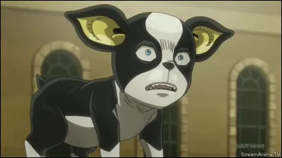 Lequel de ces personnages s'est fait tuer par Dio (partie 3 "Stardust Crusaders") ?