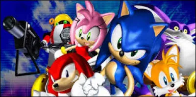 Comment la version Gamecube s'intitule-t-elle ?