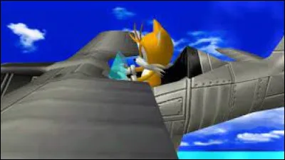 Comment se nomment les niveaux où Tails pilote son avion ?