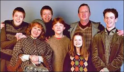 Ron Weasley est le deuxième enfant de la famille Weasley.