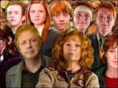 La famille Weasley se compose de triplés du nom de Percy, Fred et George.