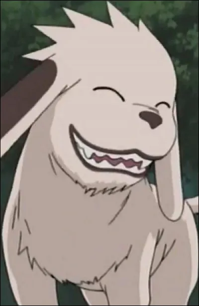 Qui est le personnage que tu préfères ?