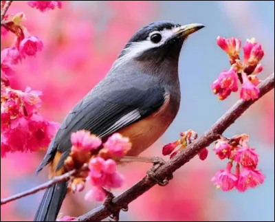 Quelle est ton activité préférée pendant la journée ?