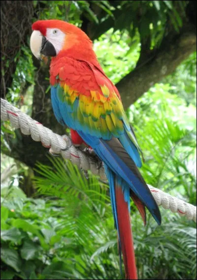 Quelle est ta couleur favorite ?