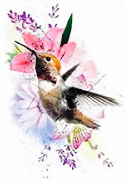 Quelle est ta passion ?