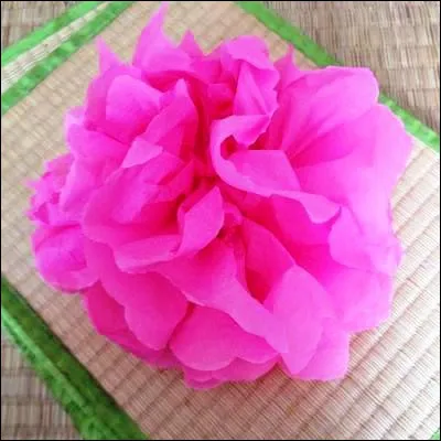 Lequel de ces papiers est tr&egrave;s utilis&eacute; en art, par exemple pour faire des fleurs ?