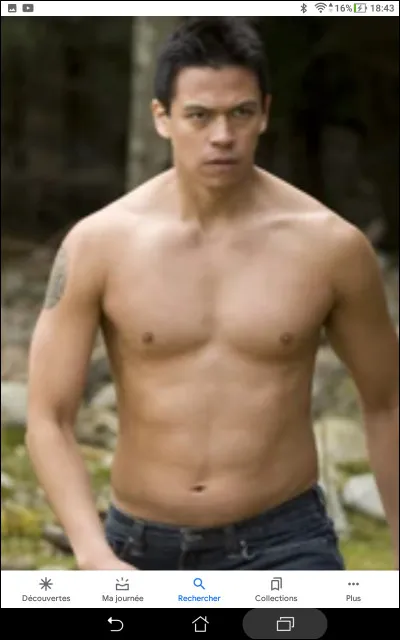 De quelle couleur est le pelage de Sam Uley une fois transform&eacute; en loup-garou ?