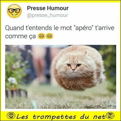 Quelle citation t'inspire le plus ?