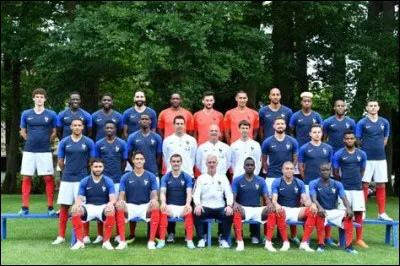 Qui a joué contre la France en quart de finale ?