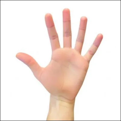 Qui a fait une main et a offert un penalty à la France ?