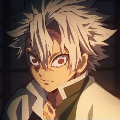 Si vous deveniez Pilier que feriez-vous ?