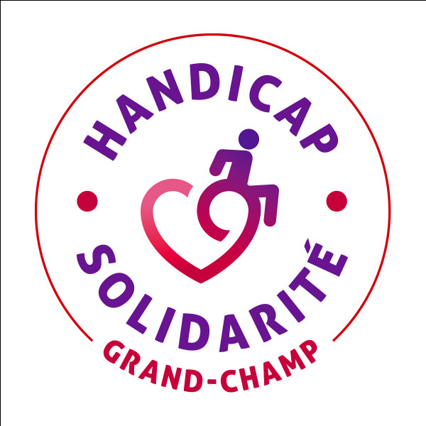 Combien comptons-nous de personnes handicapées en France ?
