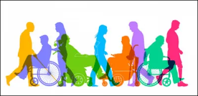 Quelles sont les grandes familles de handicap ?