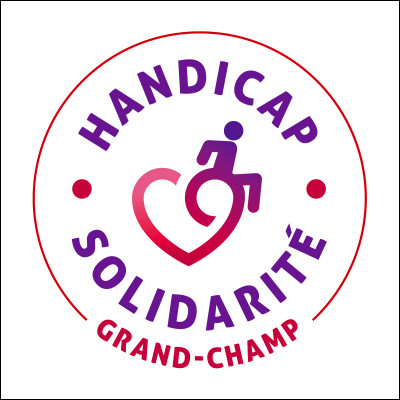 Combien comptons-nous de personnes handicapées en France ?