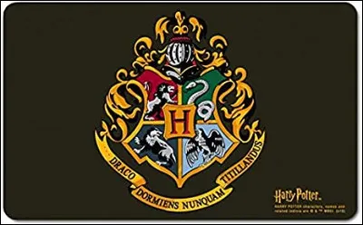 Quelle serait votre maison &agrave; Poudlard ?