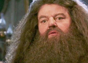 Quiz Hagrid