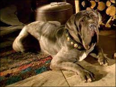 Et pour finir, dans le tome 7, pourquoi a-t-il dû fuir les Mangemorts ?