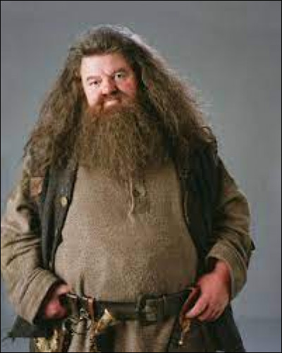 Une petite question facile : quel est le prénom de Hagrid ?