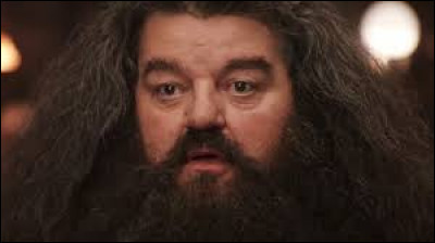 Pourquoi Hagrid a-t-il été renvoyé ?