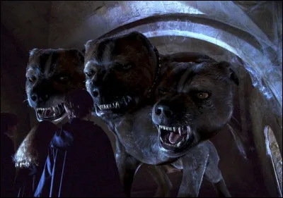 Quel est l'instrument de musique qui se trouve à coté du chien à trois têtes lorsque le trio est présent ?