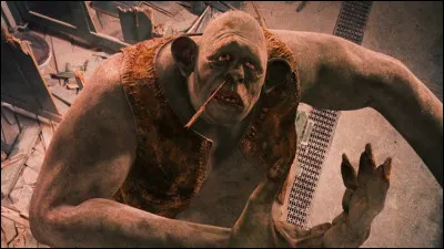 Quel sortilège a été utilisé par Ron pour vaincre le troll dans les toilettes ?