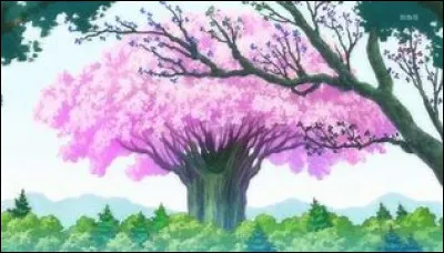 Quel pays a pour emblème national un arbre surnommé le « désespoir des singes » ?