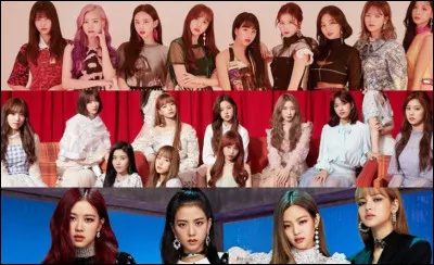 Quel composant du groupe voudrais-tu être ?