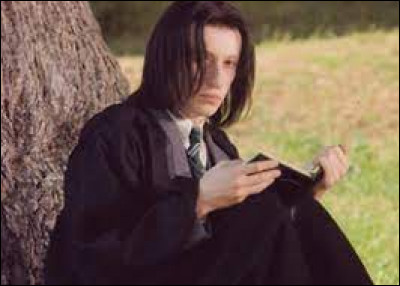 Qu'est-ce que Rogue a fait, qu'il a voulu réparer ensuite ?