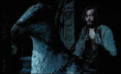 Tome 3 : Qu'est-ce que Harry et Hermione font pour sauver Sirius Black ?