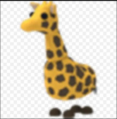 Es-tu plutôt un animal petit ou grand ?