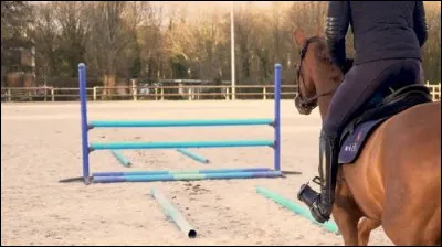 Sur cette photo l'abord du cheval est...