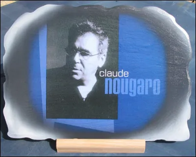 Le soir de mes funrailles que la vie soit feu d'artifice et la mort un feu de paille; Un chant de cygne s'est teint mais un autre a casser l'oeuf sous un saphir en vrais saphir miroite mon sillon neuf...