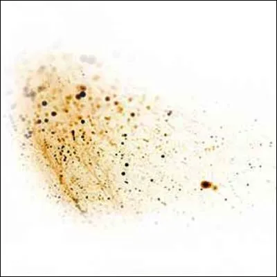 Quel terme désigne des fibres et débris fins en suspension dans lair ?