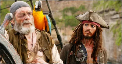 Pourquoi les pirates avaient-ils des perroquets ?