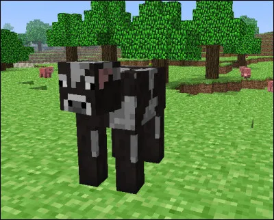 Comment trait-on une vache ?