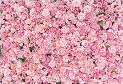 Comment dit-on le rose ?