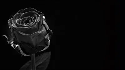 Comment dit-on le noir ?