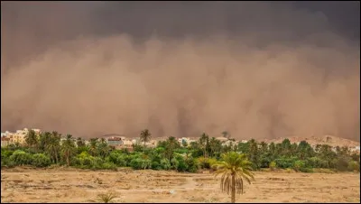 En provenance du Sahara, il souffle sur la Corse et les régions méditerranéennes. Quel est ce vent ?