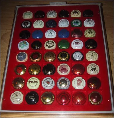 Qui collectionne les capsules de champagne (plaques de muselet) ?