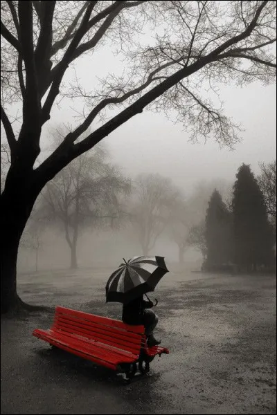 Comment était la brume dans le titre du film de Bertrand Tavernier ?