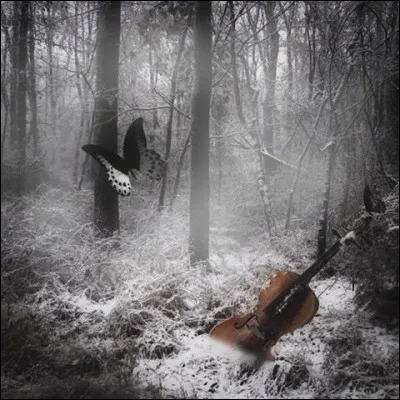 Il chantait "Elle danse derrière les brouillards, et toi, tu cherches et tu cours..." : C'est écrit !