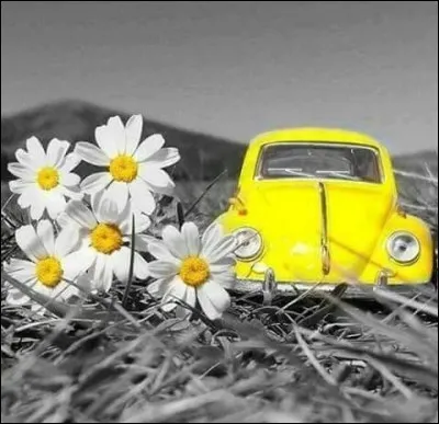 Qui chantait "Il rentrait chez lui, là-haut vers le brouillard, elle descendait dans le Midi..." ?