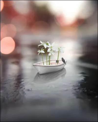 Qu'est ce qui est appelé "brouillard" ?